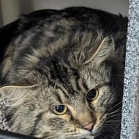 Photo of Billy