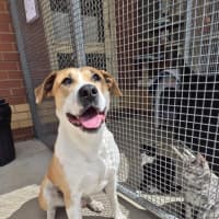 Photo of Butters! 🧈💛