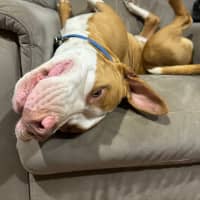 Photo of Zipper