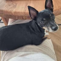 Photo of Rusty Dusty