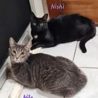 Photo of Nishi & Nila
