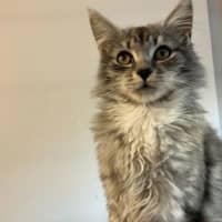 Photo of Jasper