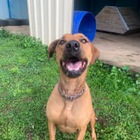 Photo of Roxy