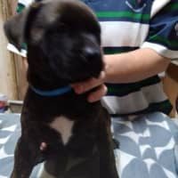 Photo of Zeus