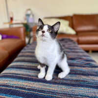 Photo of Marra   Meet Me At Vets On Parker