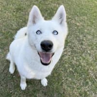 Photo of Heidi