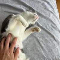Photo of Maisey