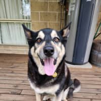 Photo of Ace Ventura