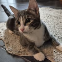 Photo of Lumi