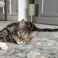 Photo of Sally Junior