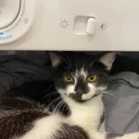 Photo of Bella 