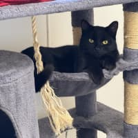 Photo of Archie