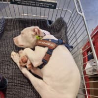 Photo of Winifred (Winnie)