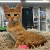 Photo of Traveller Steve