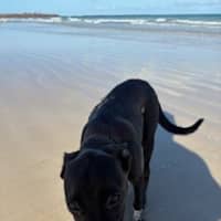 Photo of Rudi