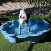 Photo of Missy