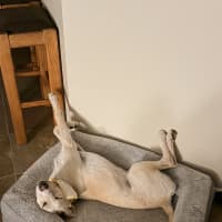 Photo of Dolly Pawton