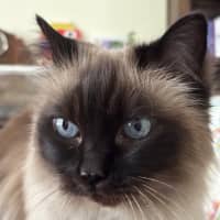 Photo of Kiki