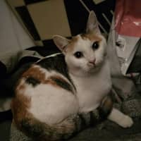 Photo of Seraphina 