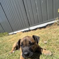 Photo of Titan (Was Tank)