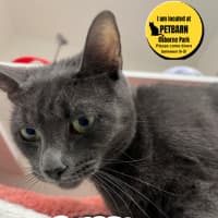Photo of Stormy