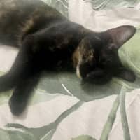 Photo of Caramella