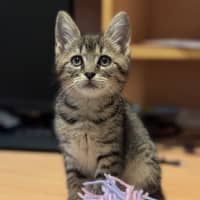 Photo of Charlotte