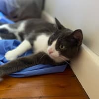 Photo of Storm (9173)