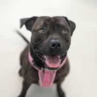 Photo of 🍃 Miguel 5402 🍃