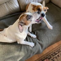 Photo of Turbo And Mazie