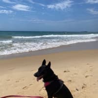 Photo of Freya
