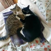 Photo of Miguel / Sarah