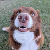 Photo of Marley