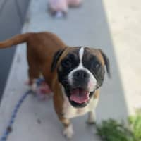 Photo of Thelma