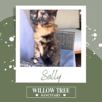 Photo of Sally