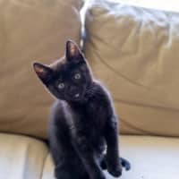 Photo of Kit