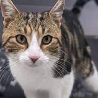 Photo of Simon