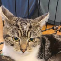 Photo of Jemima