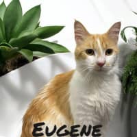 Photo of Eugene