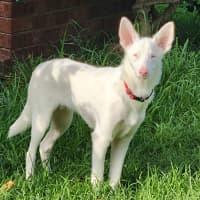 Photo of Giddy 