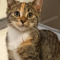 Photo of Skye