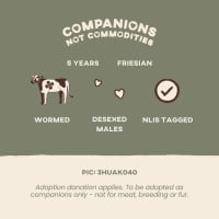 Photo of Jeremy And Ferdinand