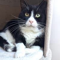 Photo of Gatsby 🌟