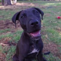 Photo of Wicked Chocolate