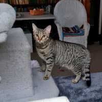 Photo of Annie