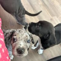 Photo of Jobberknoll