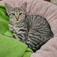 Photo of Alice