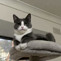 Photo of Clover