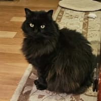 Photo of Bubbles