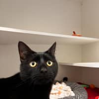 Photo of Max 